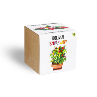 Bolíviai szivárvány chili paprika növényem fa kaspóban