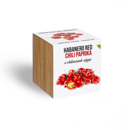 Piros habanero chili paprika növényem fa kaspóban