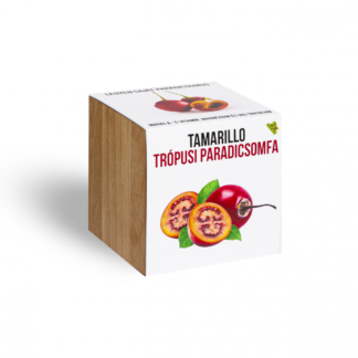 Tamarillo - Trópusi paradicsomfa - növényem fa kaspóban