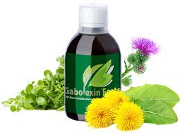 Gabolexin Forte (250ml)